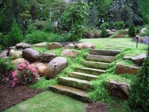  property landscaping